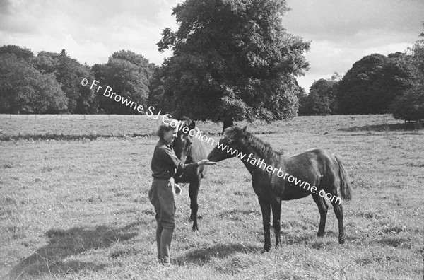 HEADFORD HOUSE  MISS ELIZABETH CLARKE WITH THOROUGHBRED MARES AND FOALS